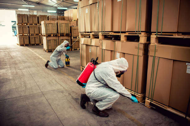 Best Pest Inspection Near Me  in Oakwood, IL