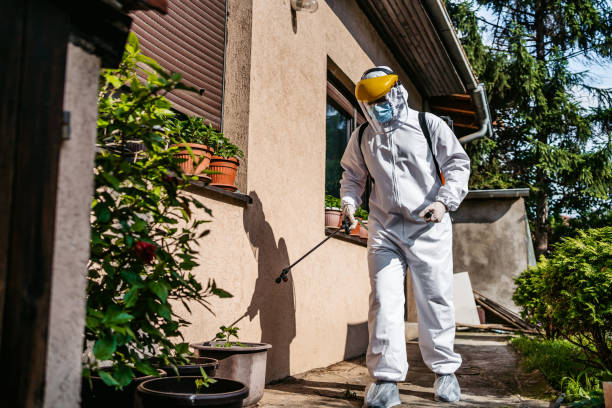 Trusted Oakwood, IL Pest Control Experts