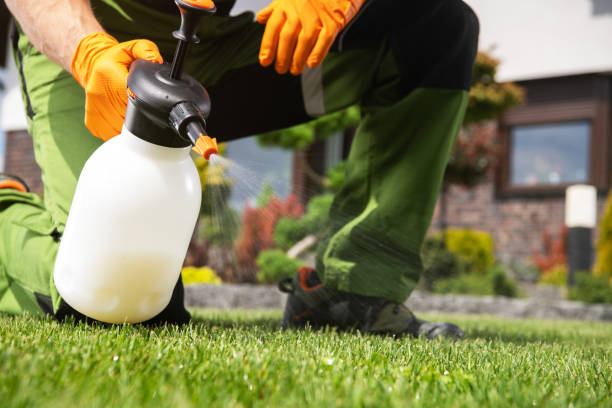 Best Affordable Pest Control Services  in Oakwood, IL