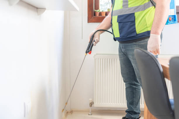 Best Wasp Removal Services  in Oakwood, IL